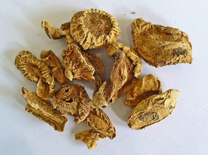      .    <!--noindex--><a href="https://pikabu.ru/story/lekarstvennyie_kogot_dyavola_13424496?u=http%3A%2F%2Fhawaiipharm.com&t=hawaiipharm.com&h=2feff853721746a918e14ee9693b61d7a0670c3b" title="http://hawaiipharm.com" target="_blank" rel="nofollow noopener">hawaiipharm.com</a><!--/noindex-->.