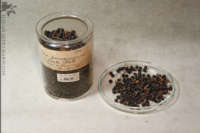    .     -, .  .. , 1910 .       .