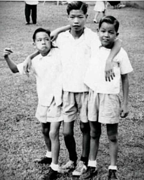 Брюс Ли. Архивное фото. Источник: Bruce Lee foundation