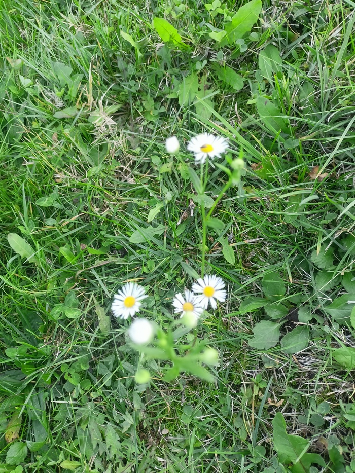 ������� ������. ������