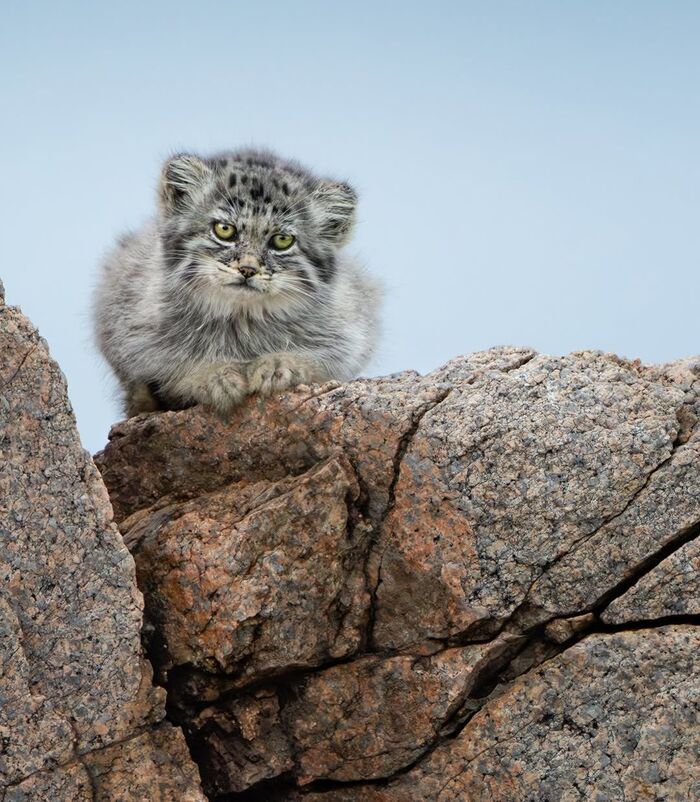 В размышлениях о чём-то важном