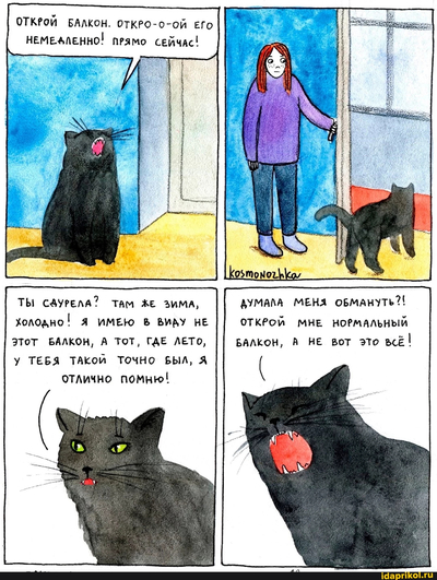 Иллюстрация к комментарию