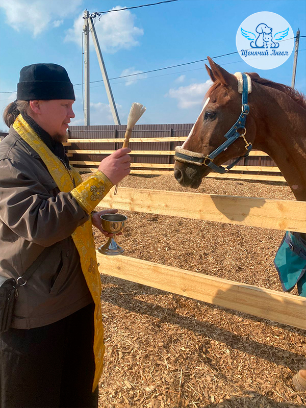 Юлий рад был новой встрече