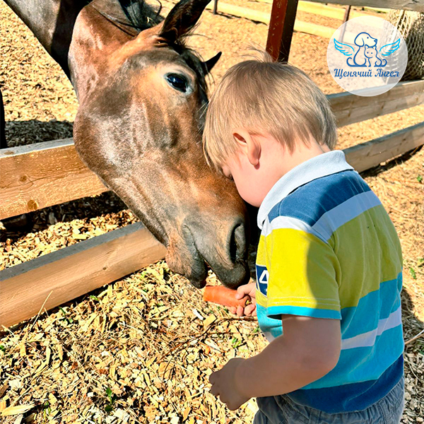 Морковка, ласка и внимание — что может быть лучше
