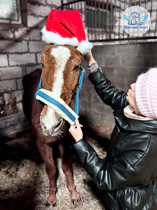 А на Новый год ветеринар Ева подарила Юляшу шапку для праздничного настроения