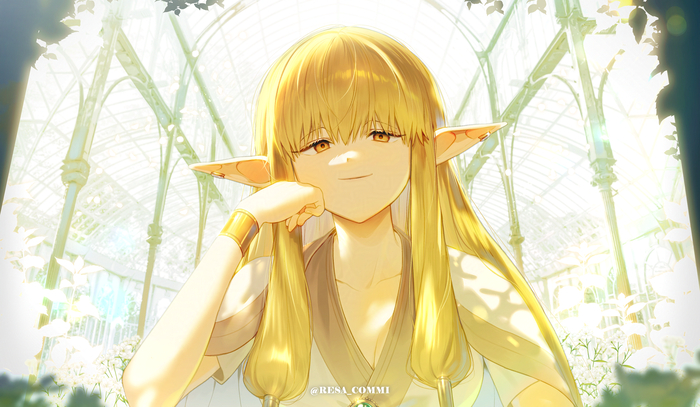 Ну давай, расскажи мне кто такие эльфы