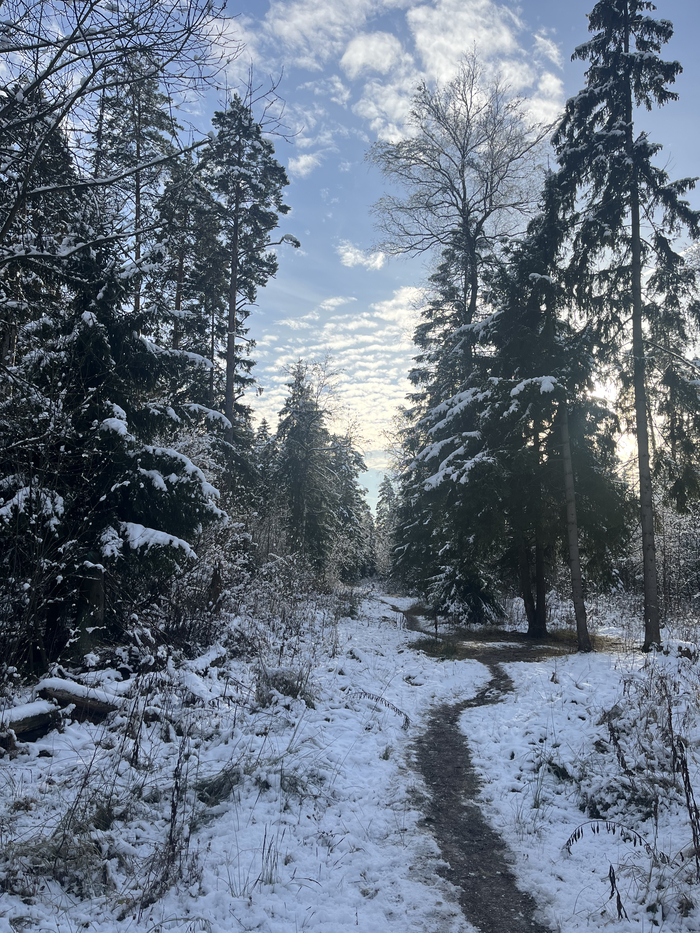 ,    .     ... . - ...