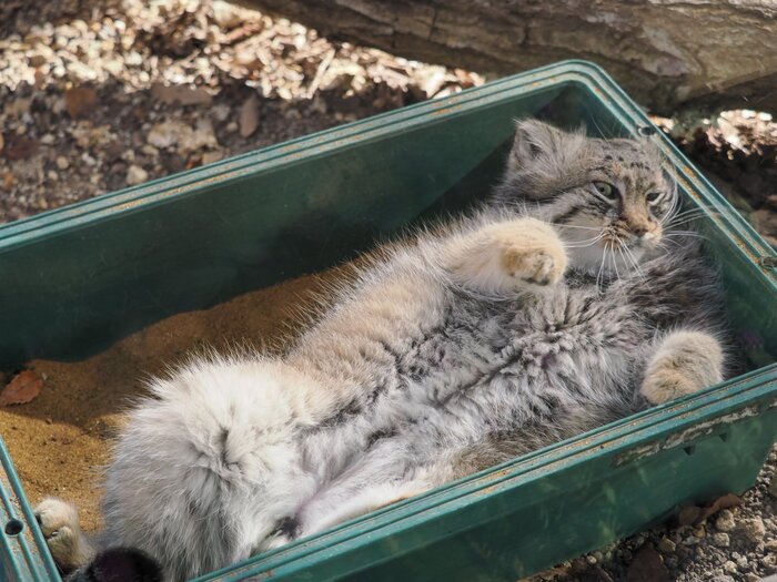 Как уже утро? Я ж тока лёг...