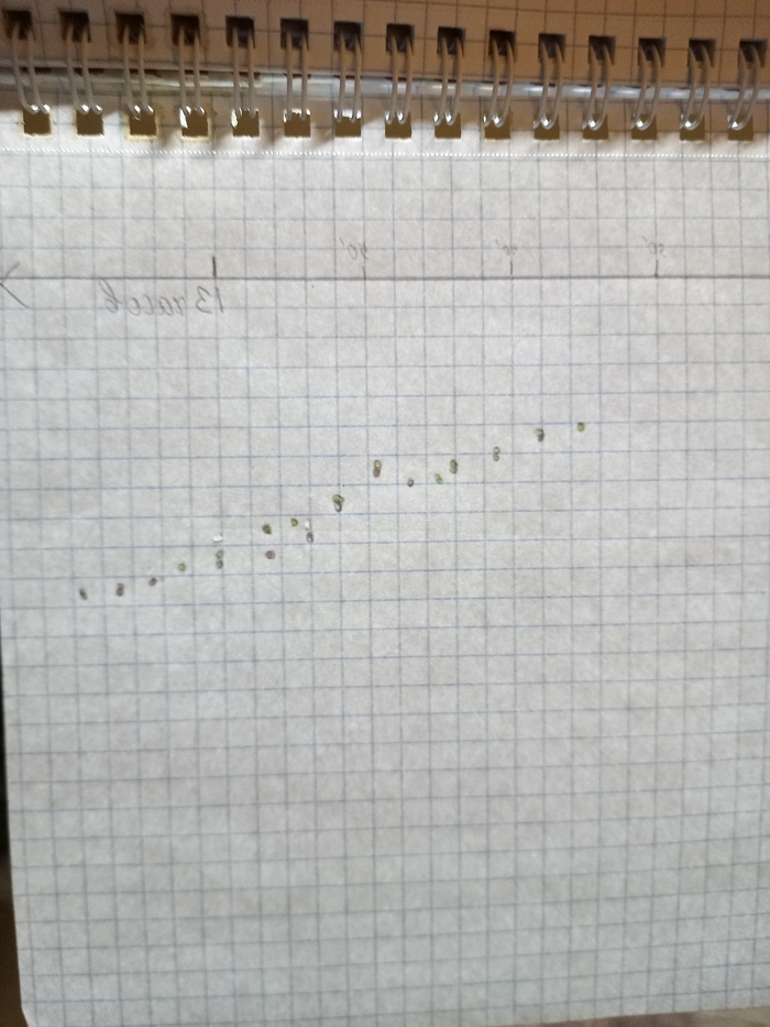  .     ,          ,    .  .