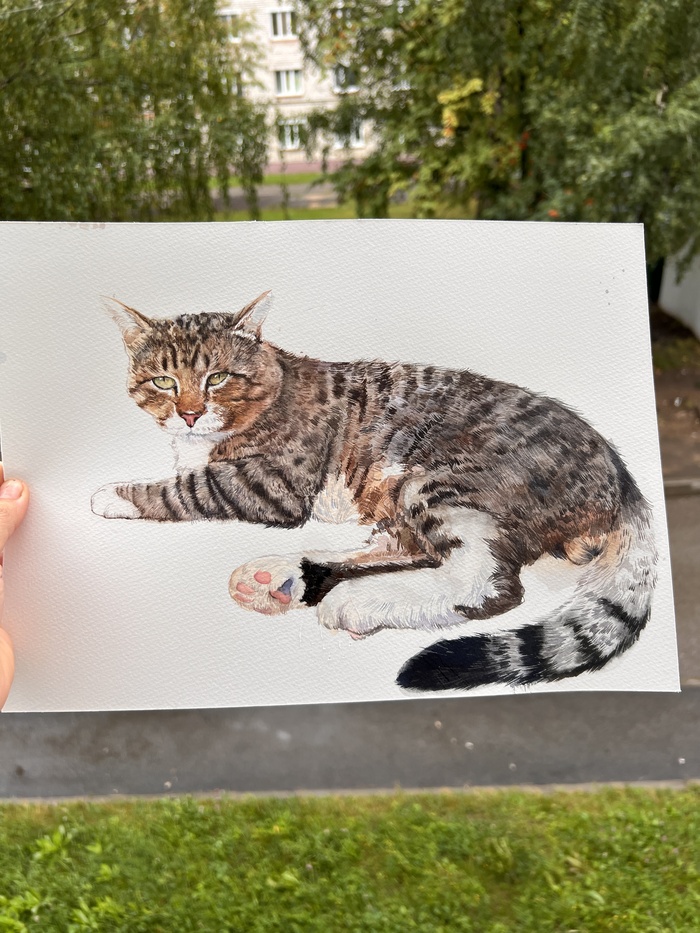       .  ,  ,  3.   ,     .