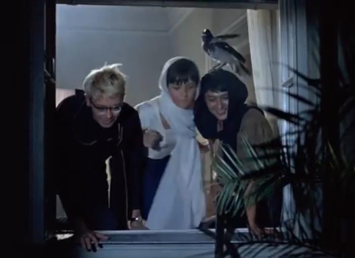 Гамлет и Соль.