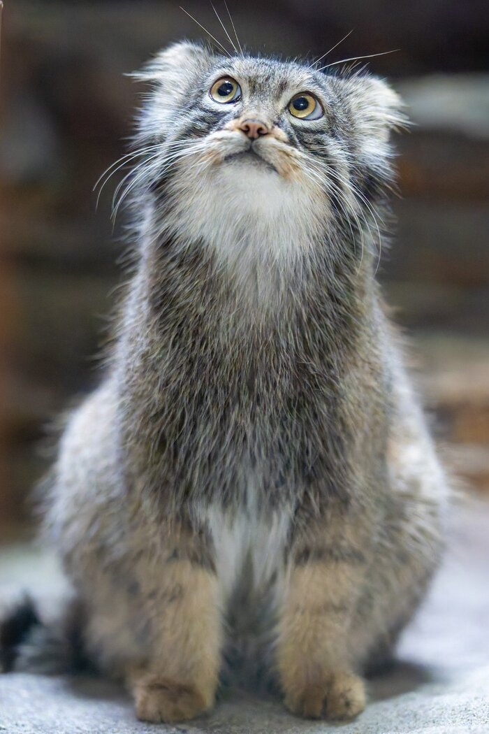 Интересно, что на завтрак?