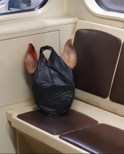   , ,    .  ,   ,   ,    ... :((