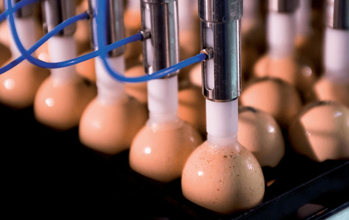 Такая вакцинация называется in ovo. Она совершается с помощью специальных аппаратов, которые фиксируют яйцо, дезинфицируют поверхность и делают укол в нужное место, не нанося вреда эмбриону.