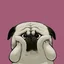 Pikabu profile picture for @gobbledygook
