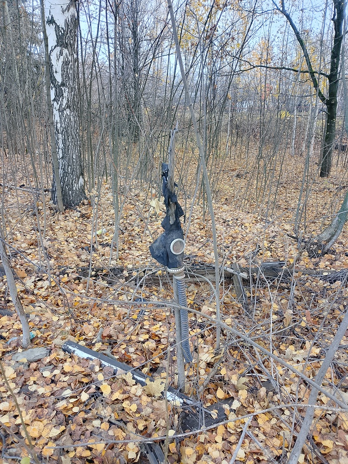 Будущего пост