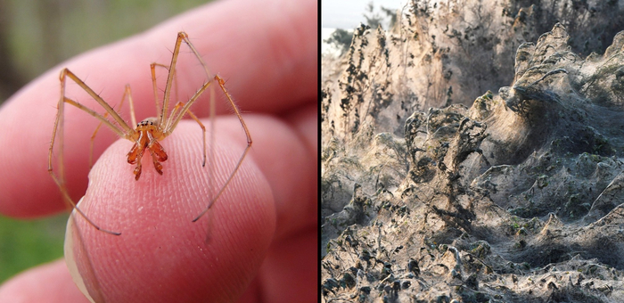 Художник и его творение.