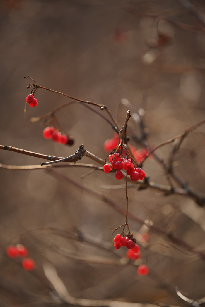 Ответ на пост «Ноябрьский акцент»