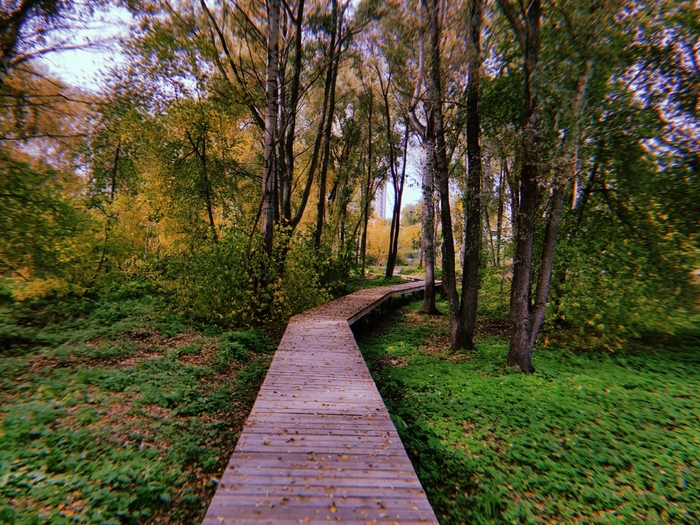 парк Каменка