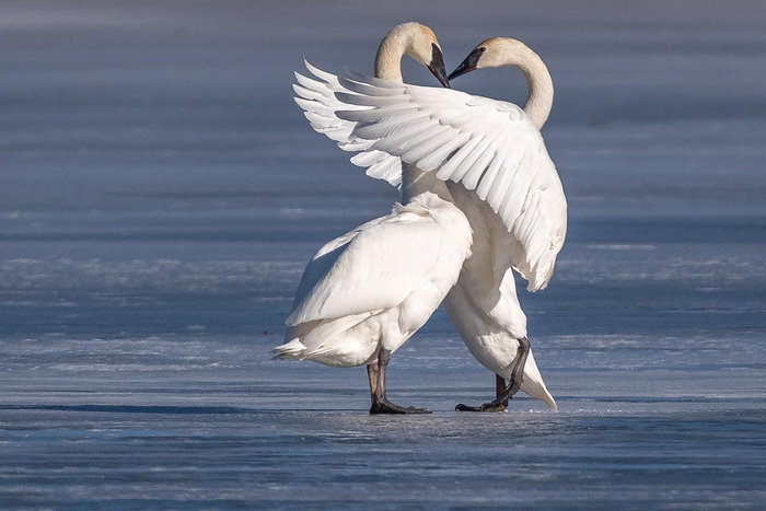 — Галя, ты такая красивая! — Какая Галя, я Серёга! — Что ж, у каждого свои недостатки.