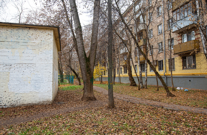  (2025 )      " ۓ    " (. . , 1965). .   