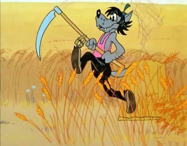 Про год благоустройства и стукачество