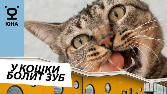 ��� ������, ��� � ����� ����� ����: ������� ������� ����