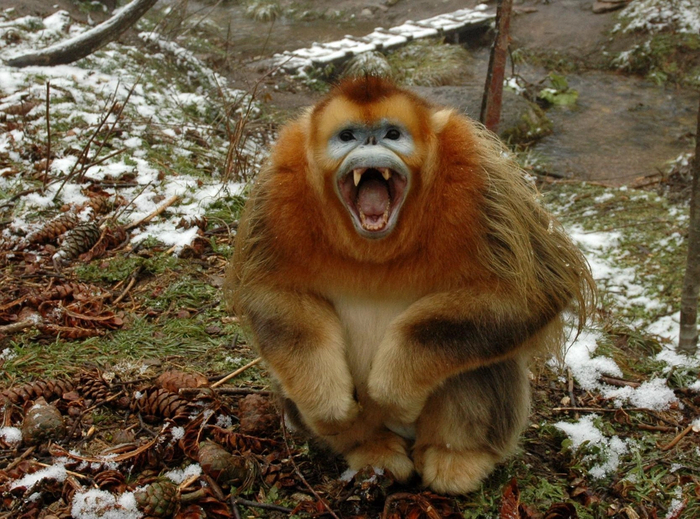  ,   , ,   ?        !