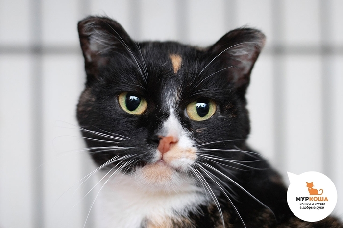  , 7 ,   .  .          - .  ,              .