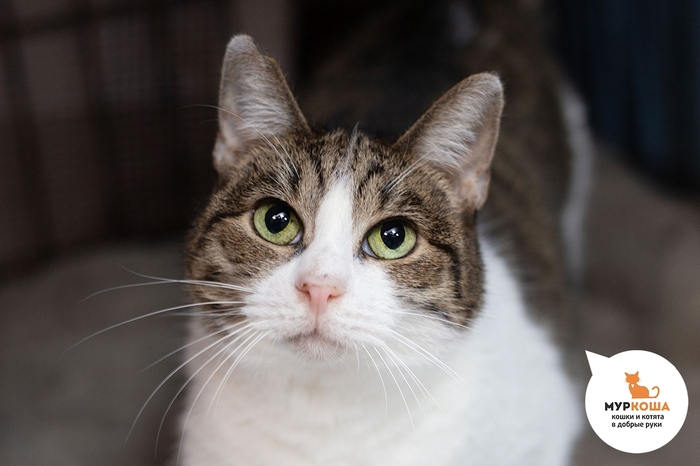  , 12 ,    .        .