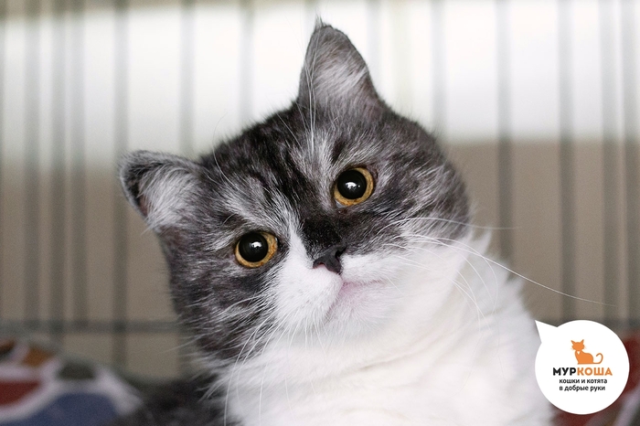  , 5 ,    .  .        - .  ,              .