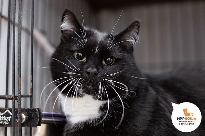  , 7 , .  .        - .  ,          ,    .