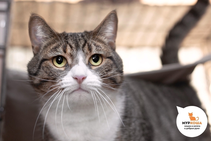  , 3 , .  .        - .  ,              .