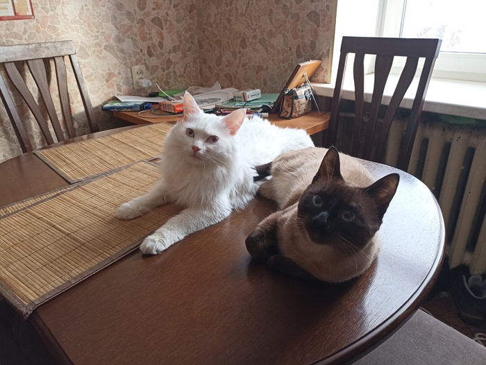 В ожидании чуда)))