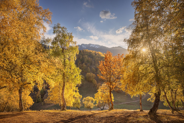 :   <a href="https://pikabu.ru/story/osen_v_karachaevocherkessii_13435246?u=https%3A%2F%2Frtraveler.ru%2Fphoto%2F1479656%2F%3Feditorial_photos%3D1&t=%D0%BE%D1%82%D1%81%D1%8E%D0%B4%D0%B0&h=783b40532fb97191d3dc1c86b1fd5f4a55596e5c" title="https://rtraveler.ru/photo/1479656/?editorial_photos=1" target="_blank" rel="nofollow noopener"></a>