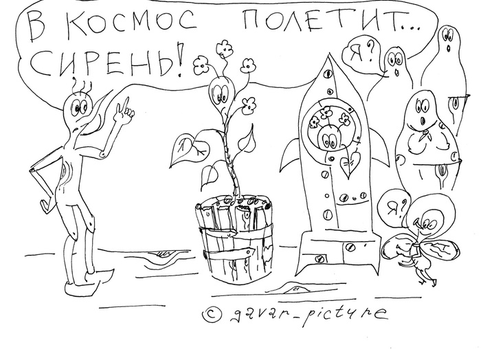 Про слова из трёх букв и из четырёх