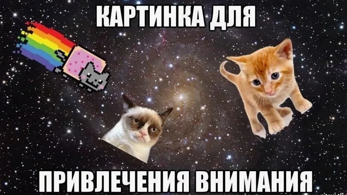 Приглашаем в чат!