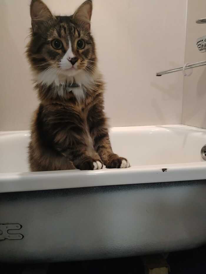 �������, � �������� �����))