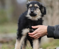 ����� � ������ ����! ������ ������.