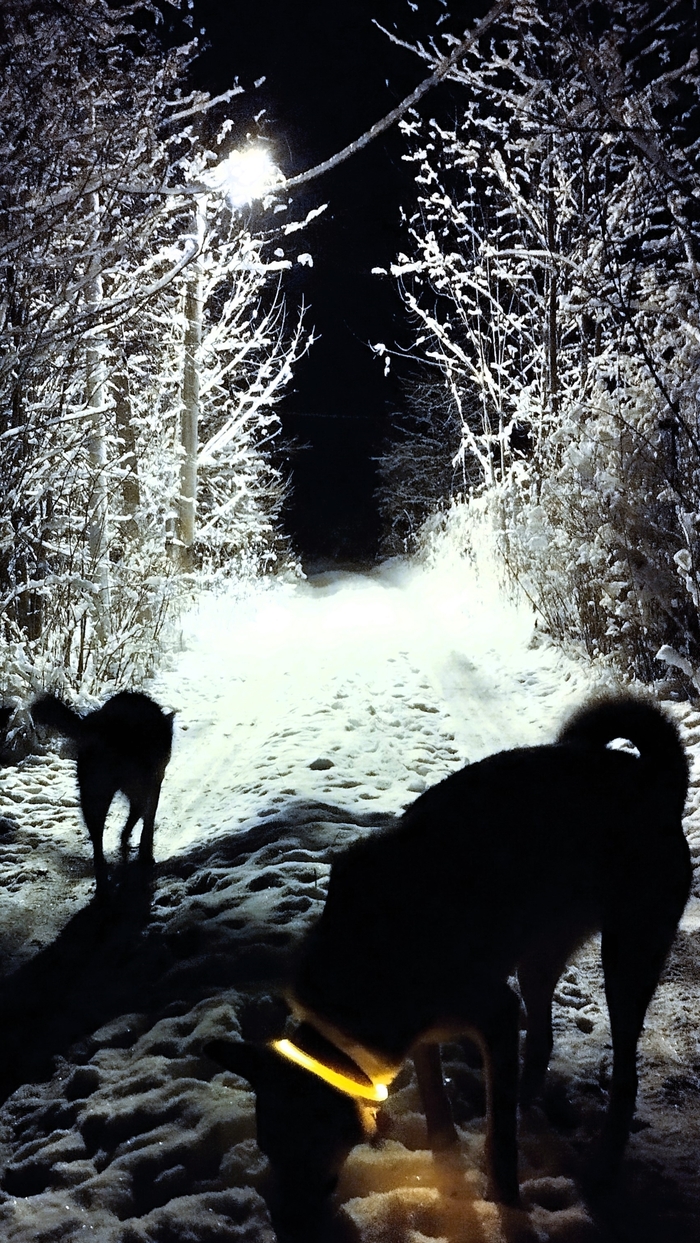 Знаете ли вы?...