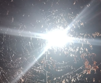 ���� ������