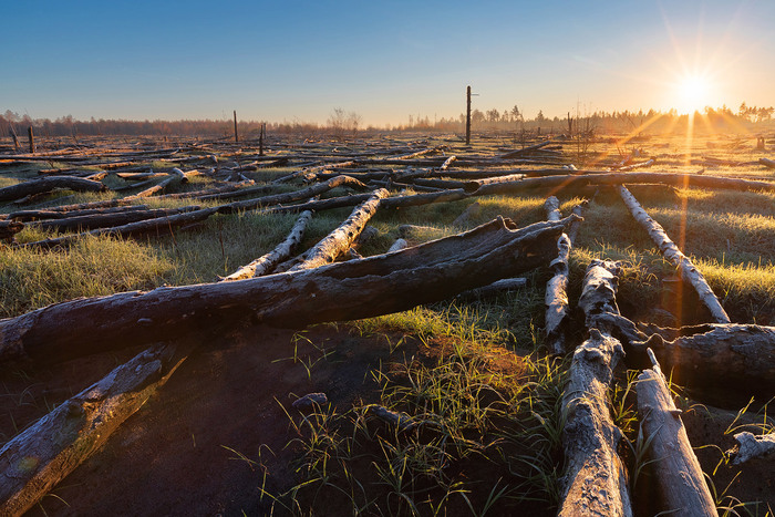 Восход над пожарищем