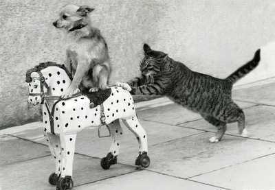  Mogwai38  &quot;,   ,   &quot;