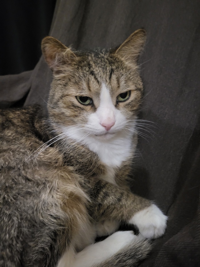 С недобрым утром