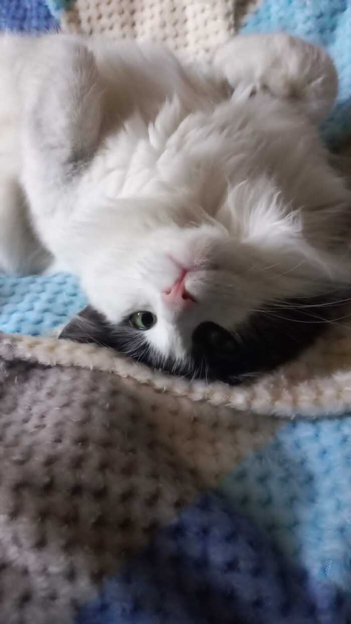  Mitrofan38  &quot;,   ,   &quot;