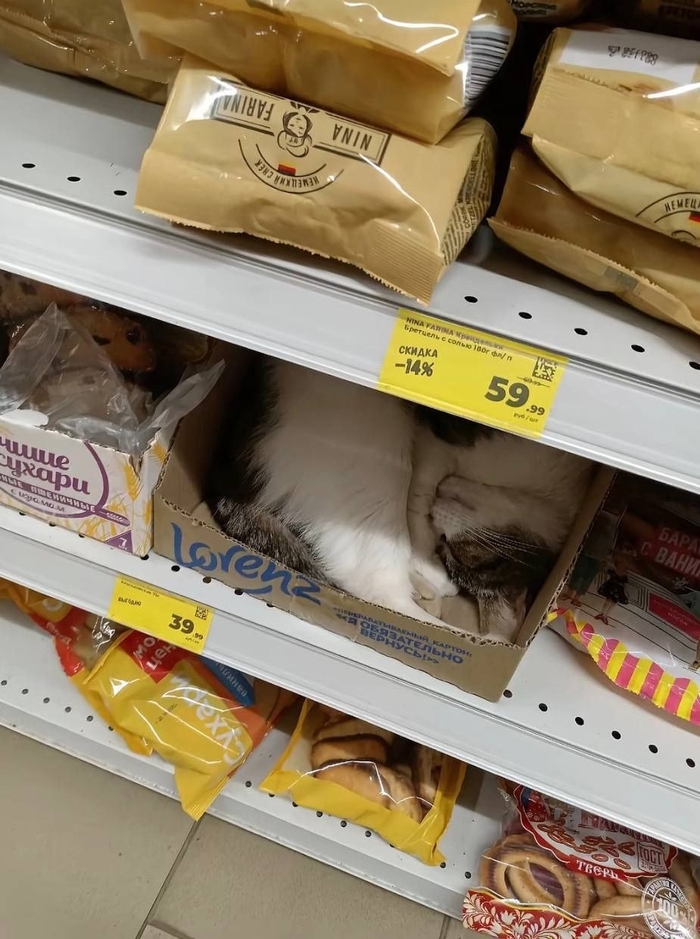 <!--noindex--><a href="https://pikabu.ru/story/vnezapnoe_13439216?u=https%3A%2F%2Fvk.com%2Fwall-205761243_25847&t=https%3A%2F%2Fvk.com%2Fwall-205761243_25847&h=fe9042b62d9ee93ad12bf2c857ef701977b90822" title="https://vk.com/wall-205761243_25847" target="_blank" rel="nofollow noopener">https://vk.com/wall-205761243_25847</a><!--/noindex-->