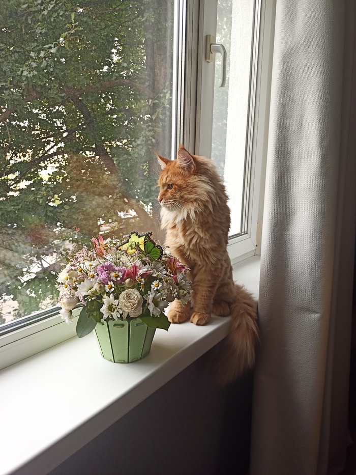    &quot;,   ,   &quot;