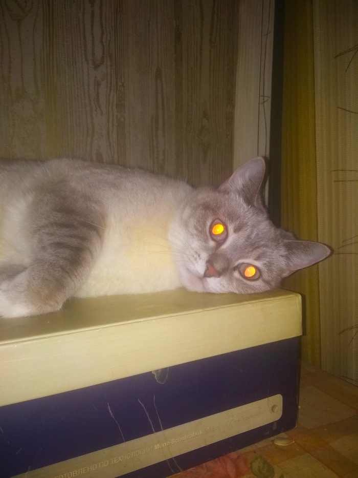    &quot;,   ,   &quot;