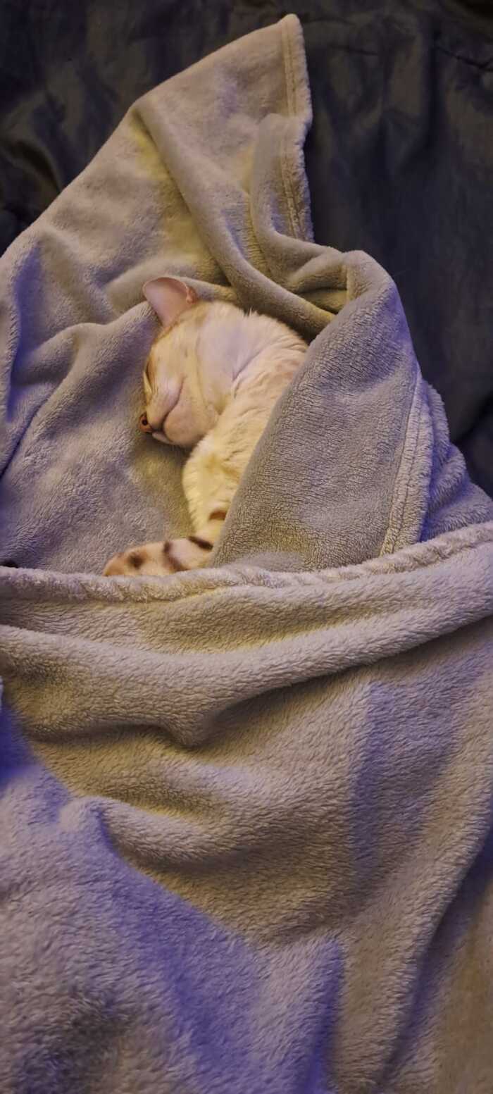 Похолодало, однако!