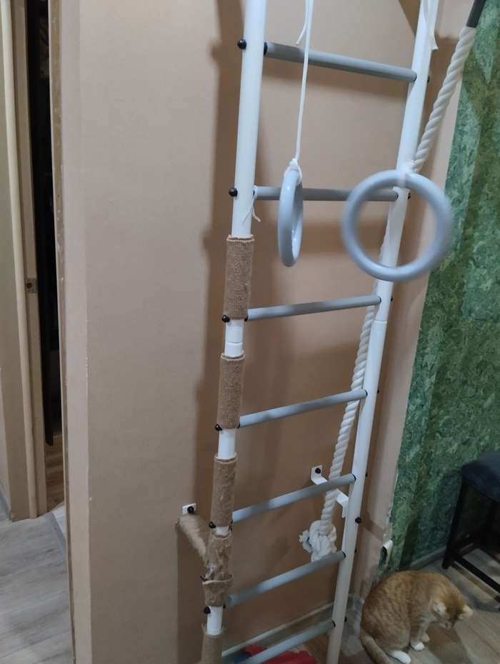 ������ ��������.